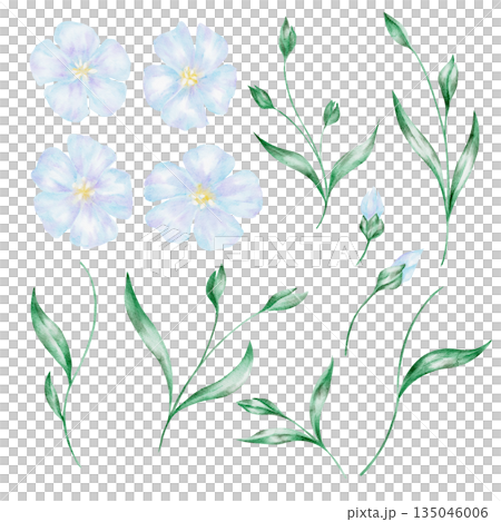 Set of flax flowers and leaves, isolated, hand painted watercolor clipart. Ideal for patterns, botanical compositions, scrapbook projects, and floral design resource Set of flax flowers and leaves, isolated, hand painted watercolor clipart. Ideal for patterns, botanical compositions, scrapbook projects, and floral design resource 135046006