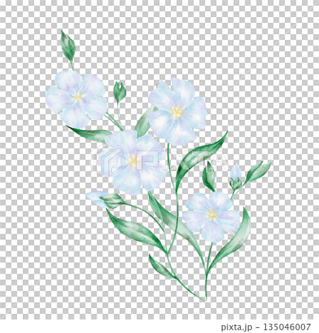 Bouquet of blue flax flowers with green foliage, isolated, hand painted watercolor clipart. Perfect for floral arrangements, botanical illustrations, and nature-themed designs Bouquet of blue flax flowers with green foliage, isolated, hand painted watercolor clipart. Perfect for floral arrangements, botanical illustrations, and nature-themed designs 135046007