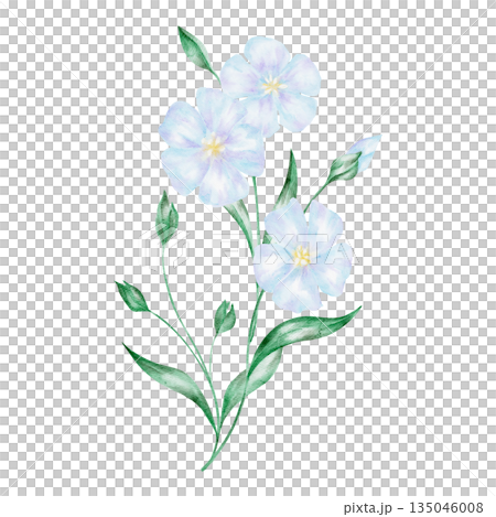Blue flax flower with green leaves, isolated, hand painted watercolor clipart. Perfect for botanical designs, floral decor, nature illustrations, and spring-themed projects Blue flax flower with green leaves, isolated, hand painted watercolor clipart. Perfect for botanical designs, floral decor, nature illustrations, and spring-themed projects 135046008