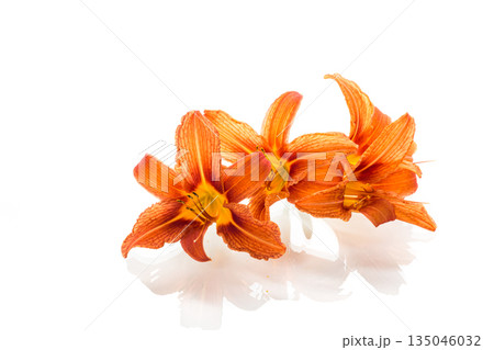 Bright orange lilies isolated on pure white background 135046032