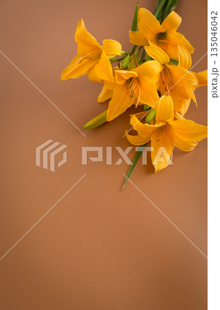 Elegant lily flowers in mocha tone setting 135046042
