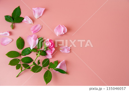 Romantic pink floral background for branding and design Romantic pink floral background for branding and design 135046057