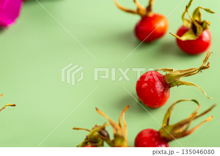 green background with large rose hips 135046080