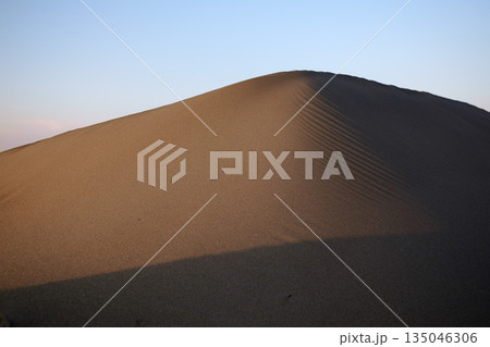 なだらかな斜面を持つ砂浜の丘 135046306