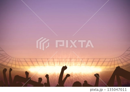 Football stadium with cheering crowd Football stadium with cheering crowd 135047011