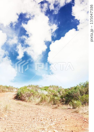 Landscape view of grassy field against sky 135047386