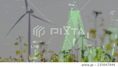 Displaying wind turbine generating power in yellow wildflower field, with real-time data overlays 135047844