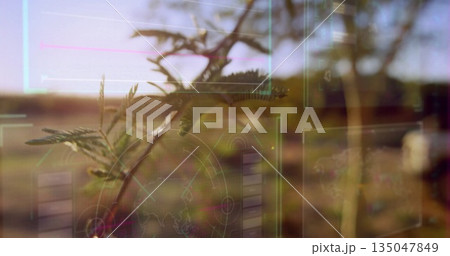 Scanning slender tree branch with compound leaves in rural field, with augmented reality overlays 135047849