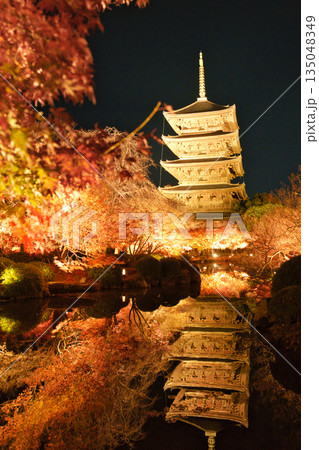 秋の夜、京都・東寺でライトアップされた五重塔と紅葉が水面に映る幻想的な景色 135048349