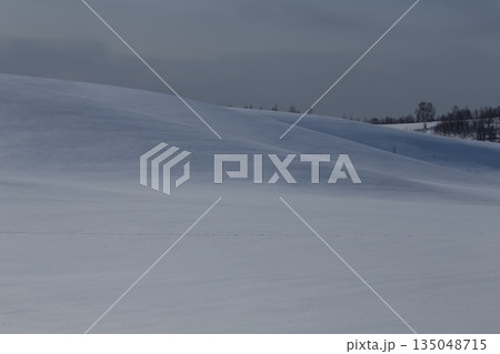 雪原の丘 135048715