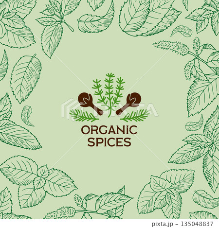 Mint background. organic spices concept picture with hand drawn leaves of mint 135048837