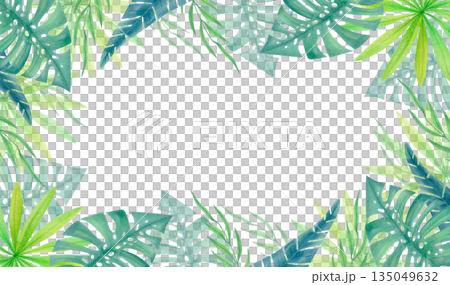 Watercolor tropical horizontal frame with green jungle leaves isolated on white. Botanical border with exotic rainforest foliage. Watercolor tropical horizontal frame with green jungle leaves isolated on white. Botanical border with exotic rainforest foliage. 135049632