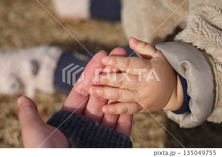 赤ちゃんのむちむちとした手とお母さんの手 赤ちゃんのむちむちとした手とお母さんの手 135049755