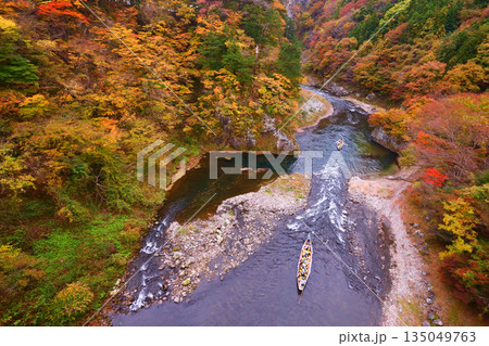 日光市　鬼怒川温泉　鬼怒川の紅葉とライン下り 135049763
