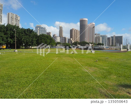 憧れのハワイ暮らし・青空に映える山並みと穏やかな街角 135050643