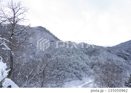 雪景色の日本の山 135050962