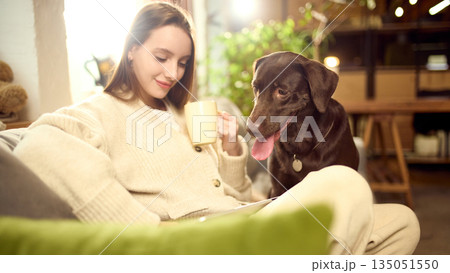 Dog resting on sofa while owner using smartphone. Dog resting on sofa while owner using smartphone. 135051550