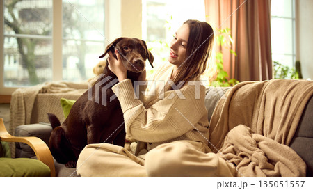 Dog sitting calmly on sofa at home while owner gently holds its head Dog sitting calmly on sofa at home while owner gently holds its head 135051557