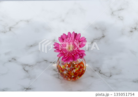 暖色のガラス一輪挿しに挿した紫がかったピンクのガーベラの花（中央配置） 135051754