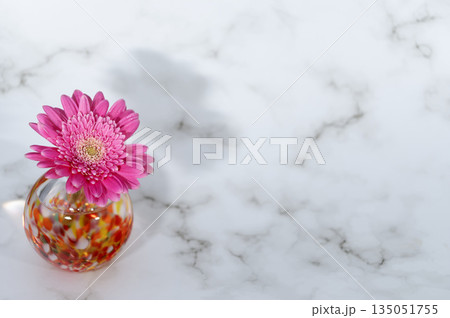 暖色のガラスの一輪挿しに挿した紫がかったピンクのガーベラの花（左配置） 135051755