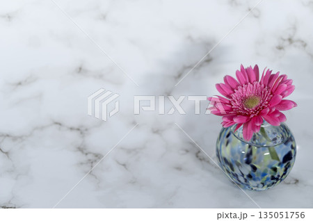 寒色のガラスの一輪挿しに挿した紫がかったピンクのガーベラの花(左配置) 寒色のガラスの一輪挿しに挿した紫がかったピンクのガーベラの花(左配置) 135051756