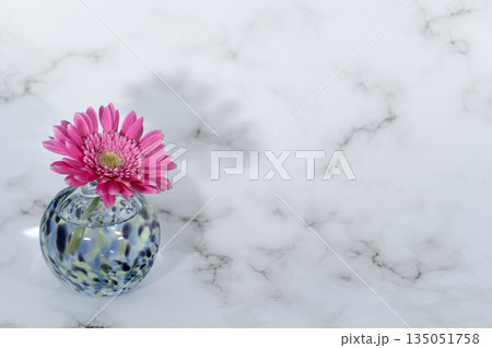 寒色のガラスの一輪挿しに挿した紫がかったピンクのガーベラの花(左配置) 寒色のガラスの一輪挿しに挿した紫がかったピンクのガーベラの花(左配置) 135051758