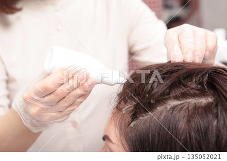 A cosmetologist applies a hair restoration product to the scalp. Hair care. A remedy for the treatment of the scalp. A woman takes care of her hair in a beauty salon. The problem of dry hair. 135052021