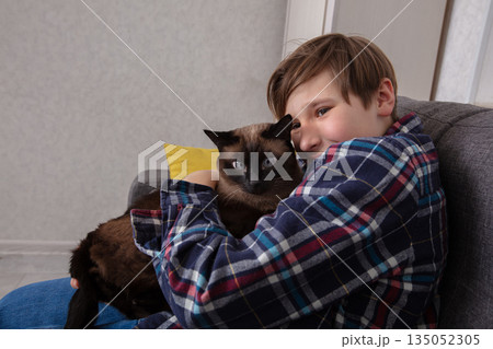 Young boy cuddles Siamese cat on a cozy couch indoors 135052305