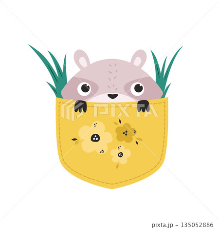 Happy Raccoon Mascot Peeking from Pocket for Birthday and Baby Shower Vector Illustration for Kids 135052886