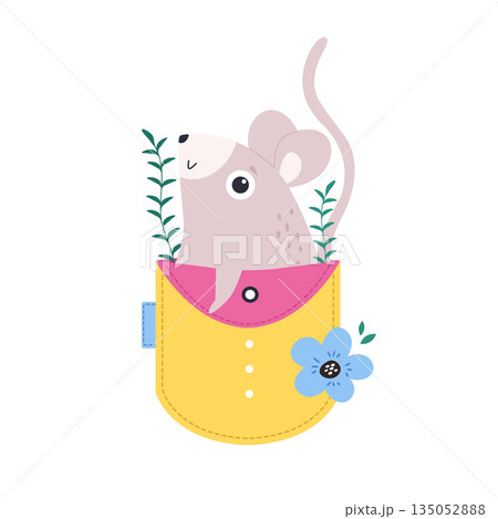 Happy Little Mouse Mascot in Pocket for Birthday and Baby Shower Vector Illustration for Kids 135052888