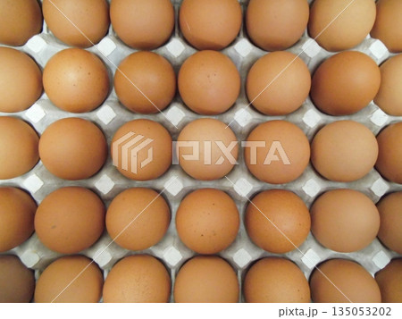 整然と並べられたたくさんの茶色い卵 135053202