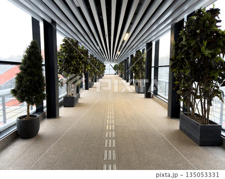Symmetrical glass corridor lined with artificial flowers. Natural interior walkway with glass windows. Symmetry and concept of moving forward, achieving goals. Follow this path forward 135053331