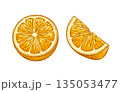 Hand drawn lemon slices illustration 135053477