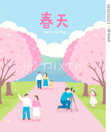 Family Walk Under Sakura Cherry Blossom Trees in Park 135053540