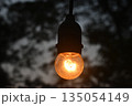 Light bulb hanging glowing outdoor evening electricity filament illumination warms quiet twilight garden scene, single round glass lamp suspended against dark blurry tree silhouette 135054149