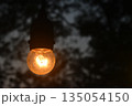 Light bulb hanging outdoors glowing warm filament night vintage glass lamp creates soft illumination against dark blurred background, moody atmosphere suggests quiet evening calm 135054150