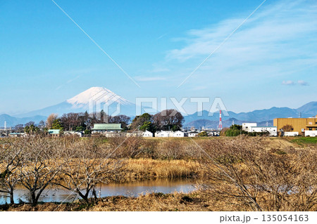 湘南銀河大橋近くから見た富士山(冬、十二月) 湘南銀河大橋近くから見た富士山(冬、十二月) 135054163
