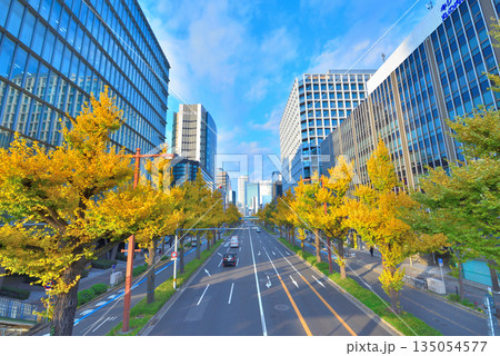 《愛知県》名古屋都市風景 秋の桜通 黄葉した銀杏並木 《愛知県》名古屋都市風景 秋の桜通 黄葉した銀杏並木 135054577