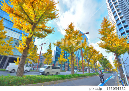 《愛知県》名古屋都市風景 秋の桜通 黄葉した銀杏並木 《愛知県》名古屋都市風景 秋の桜通 黄葉した銀杏並木 135054582