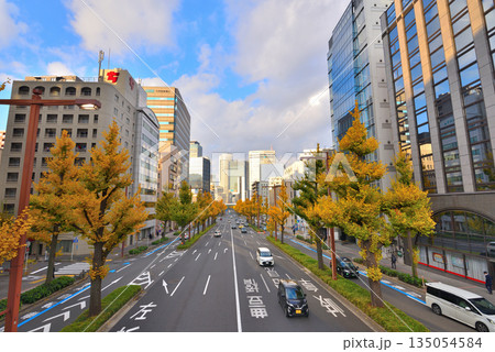 《愛知県》名古屋都市風景　秋の桜通　黄葉した銀杏並木 135054584
