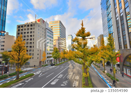 《愛知県》名古屋都市風景 秋の桜通 黄葉した銀杏並木 《愛知県》名古屋都市風景 秋の桜通 黄葉した銀杏並木 135054590
