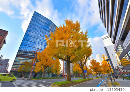 《愛知県》名古屋都市風景 秋の桜通 黄葉した銀杏並木 《愛知県》名古屋都市風景 秋の桜通 黄葉した銀杏並木 135054594