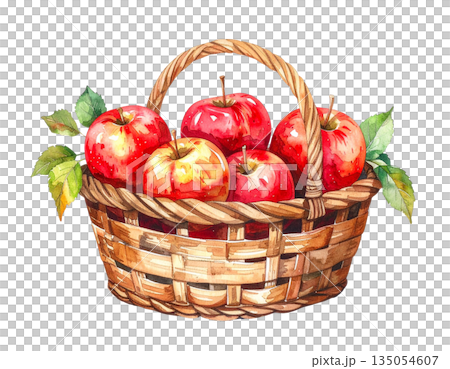 Watercolor illustration of a basket of apples 135054607