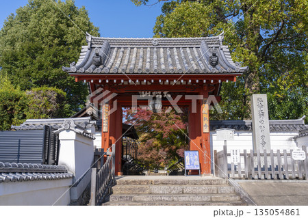 乙訓寺　山門　紅葉の季節 135054861