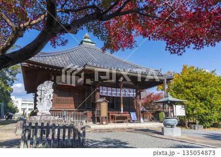 乙訓寺 本堂 紅葉の季節 乙訓寺 本堂 紅葉の季節 135054873