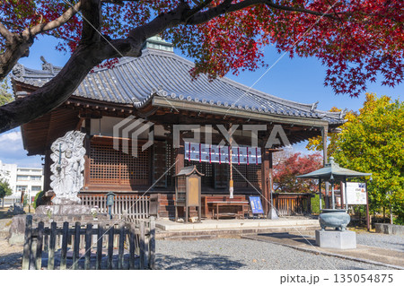乙訓寺　本堂　紅葉の季節 135054875