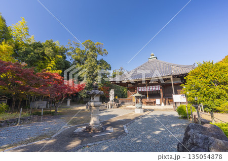 乙訓寺　本堂　紅葉の季節 135054878