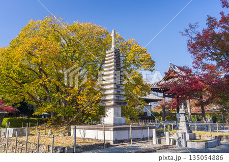 乙訓寺　十三重石塔　紅葉の季節 135054886