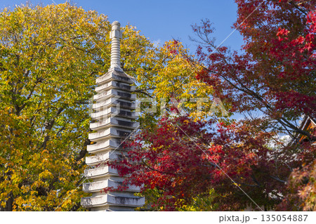 乙訓寺 十三重石塔 紅葉の季節 乙訓寺 十三重石塔 紅葉の季節 135054887