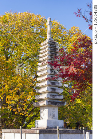 乙訓寺　十三重石塔　紅葉の季節 135054888